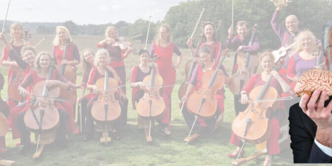 Erik Scherder interview